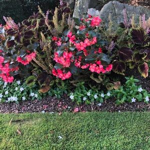 Meet your Posher, Wendy